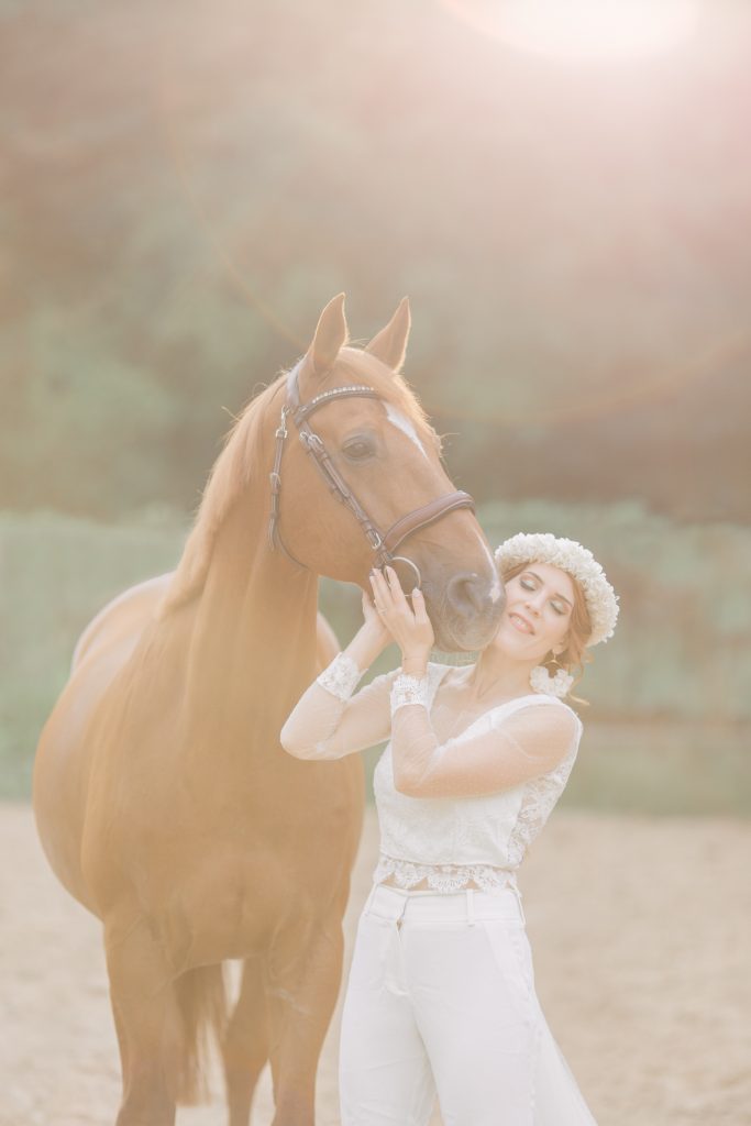 photographe équin canin fontainebleau nemours 77