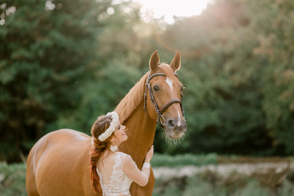 photographe équin canin fontainebleau nemours 77